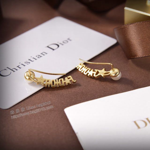 Dior飾品 2021新款DIOR迪奧字母耳釘耳環  zgd1397